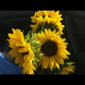 Meet your Posher, Savannah